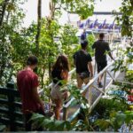 Port Douglas: Afternoon Daintree Tour w/ Wildlife Cruise - What To Expect