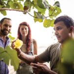 Port Douglas: Daintree Cultural Tour with Hotel Pickup - A Detailed Look at the Tour Itinerary