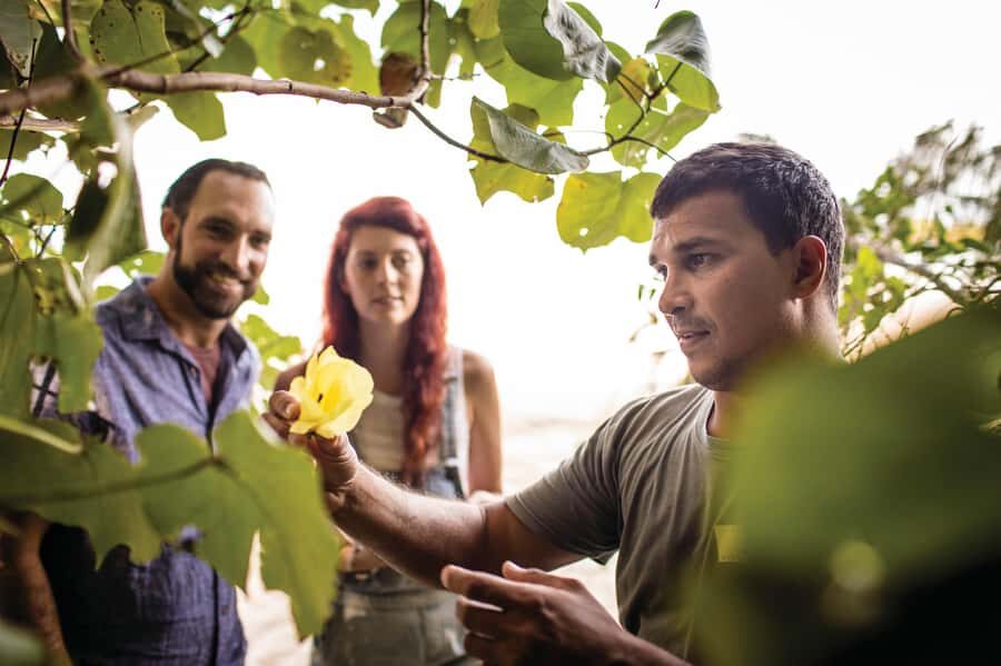 Port Douglas: Daintree Cultural Tour with Hotel Pickup - A Detailed Look at the Tour Itinerary