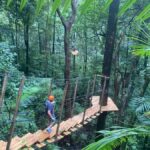 Port Douglas: Daintree National Park Tour, Cruise, & Zipline - What Makes This Tour Stand Out?