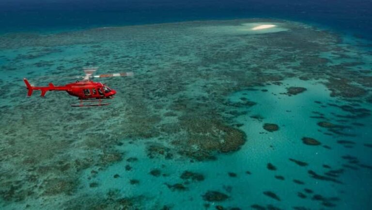 Port Douglas: Great Barrier Reef 45-Minute Helicopter Flight - Who Will Love This Tour?