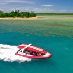 Port Douglas: Half-Day Low Island and Lagoon Snorkeling Tour - Exploring the Itinerary: What You Can Expect