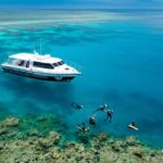 Port Douglas: Just 12 Passengers Guided Snorkel Reef Cruise - Analyzing the Value