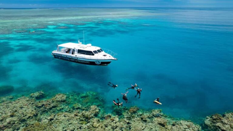 Port Douglas: Just 12 Passengers Guided Snorkel Reef Cruise - Analyzing the Value