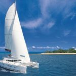 Port Douglas: Low Isles Afternoon Cruise on Luxury Catamaran - The Value of the Experience