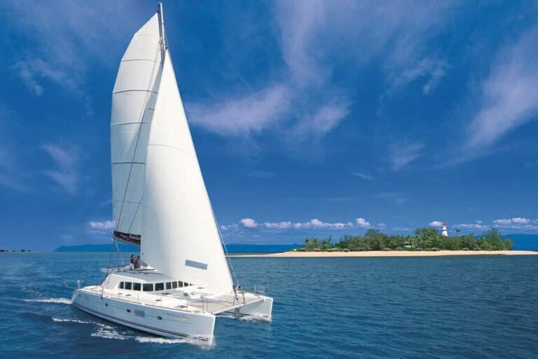 Port Douglas: Low Isles Afternoon Cruise on Luxury Catamaran - The Value of the Experience