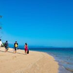 Port Douglas: Low Isles Glass Bottom Boat & Snorkeling Tour - What’s Included and What to Know