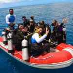 Port Douglas: Outer Barrier Reef Snorkel and Dive Options - Who This Tour Is Best For