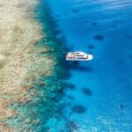 Port Douglas: Poseidon Outer Barrier Reef Dive and Snorkel - The Reef: What Makes It Special?
