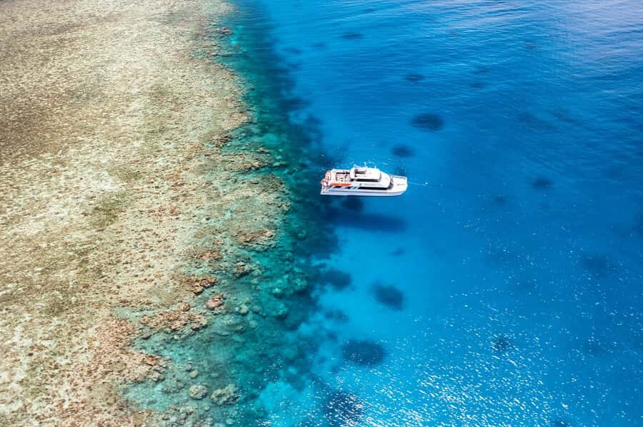 Port Douglas: Poseidon Outer Barrier Reef Dive and Snorkel - The Reef: What Makes It Special?