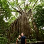 Port Douglas : Private Guide WILDLIFE Safari - Analyzing the Value