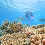 Port Douglas: Quicksilver Outer Barrier Reef Full-Day Cruise - What Travelers Are Saying