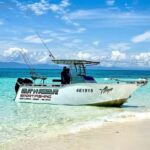 Port Douglas: Reef & Estuary Sportfishing Charters - Why This Tour Offers Good Value