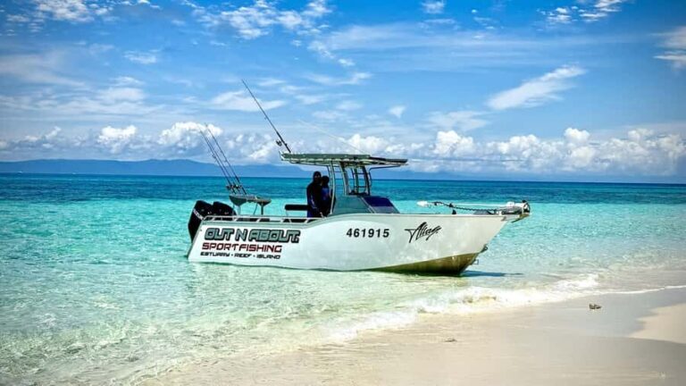 Port Douglas: Reef & Estuary Sportfishing Charters - Why This Tour Offers Good Value