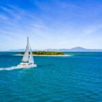 Port Douglas: Reef & Low Isles Cruise on Luxury Catamaran - What Makes This Tour Stand Out?
