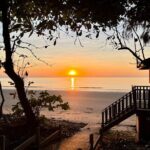 Port Douglas To Cairns Airport Shared Shuttle - The Sum Up