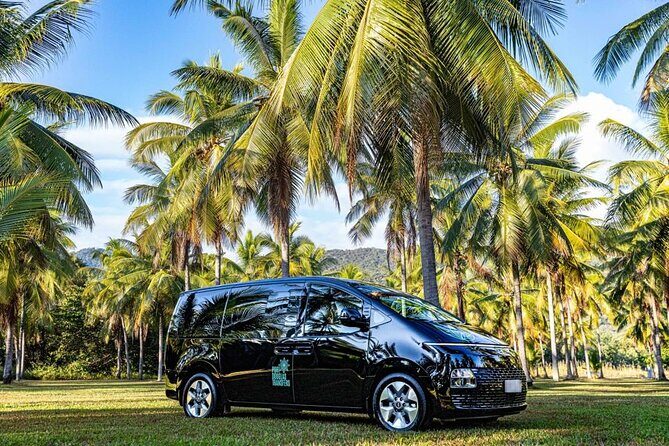 Port Douglas to Cairns ONE WAY Private Transfer 6 pax - The Itinerary: What You Can Expect