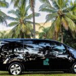 Port Douglas to Palm Cove ONE WAY Private Transfer 6 Pax - A Closer Look at the Experience