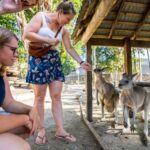 Port Douglas: Wildlife Habitat Entrance Ticket - Why This Experience Fits Certain Travelers Best