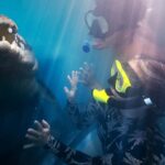 Port Douglas: Wildlife Habitat Swim with Crocodiles - The Rest of the Wildlife Habitat