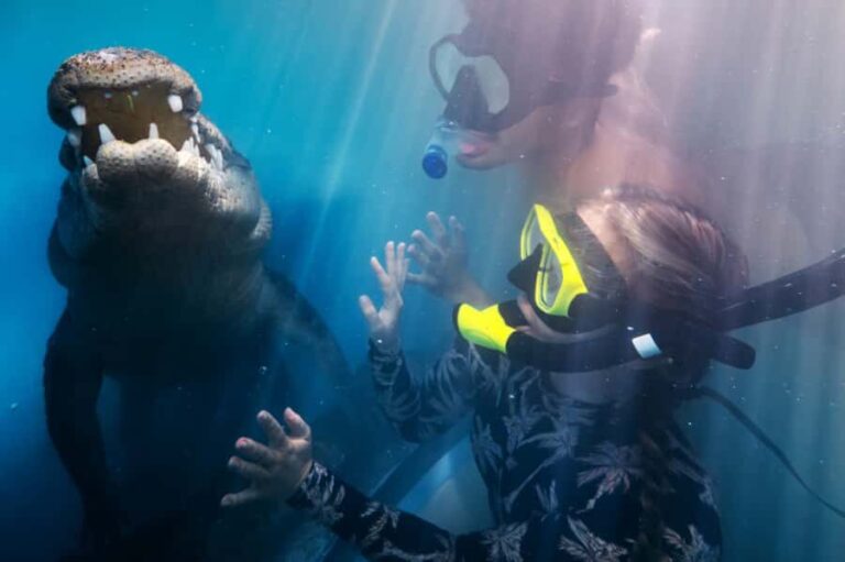 Port Douglas: Wildlife Habitat Swim with Crocodiles - The Rest of the Wildlife Habitat