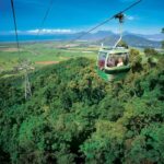 Port Douglas: World Heritage Forest by Skyrail & Scenic Rail - Skyrail Rainforest Cableway — From Treetops to the Canopy