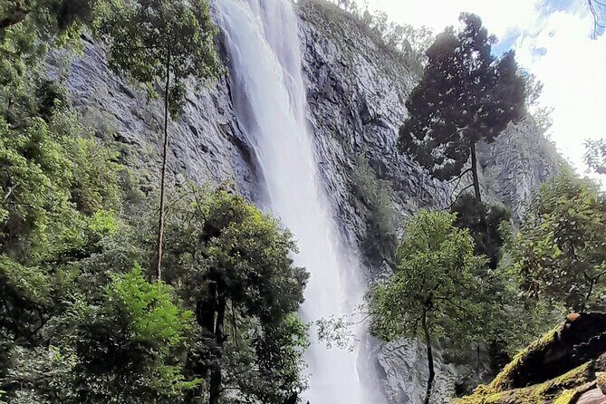Port Macquarie day tour to Ellenborough Falls & Comboyne Rock - Why This Tour Delivers Value