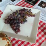 Port Macquarie Wine and Beer, Hastings Tasting Trail Tour - Customer Satisfaction and Reviews