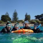 Port Phillip Bay Snorkeling with Sea Dragons - The Itinerary: Breaking It Down
