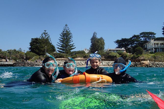 Port Phillip Bay Snorkeling with Sea Dragons - The Itinerary: Breaking It Down