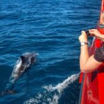 Port Stephens: 1hr Dolphin Watch Express - Scenic Stops and Key Locations