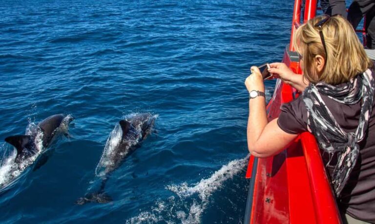 Port Stephens: 1hr Dolphin Watch Express - Scenic Stops and Key Locations
