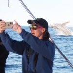 Port Stephens 3 Hour Whale and Dolphin Watch Cruise - Who Is This Tour Best For?