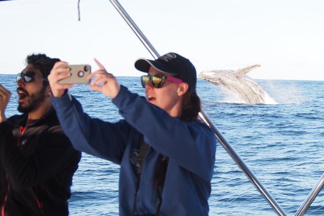 Port Stephens 3 Hour Whale and Dolphin Watch Cruise - Who Is This Tour Best For?