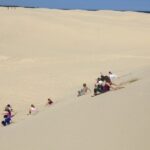 Port Stephens, Beach and Sand Dune 4WD Passenger Tour - The Bottom Line