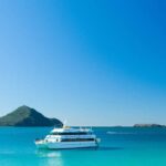 Port Stephens: Dolphin Discovery Cruise - Practical Tips for Travelers