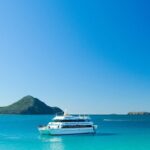 Port Stephens: Dolphin Discovery Cruise - Why Choose This Tour?