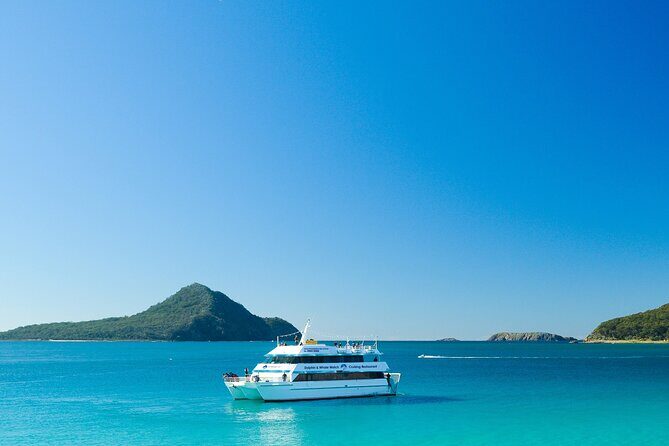 Port Stephens: Dolphin Discovery Cruise - Why Choose This Tour?