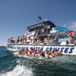 Port Stephens: Dolphin Watch Cruise with Swimming and Slides - The Dolphin Search: A Natural Spectacle