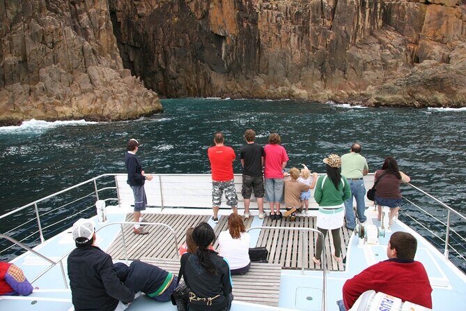 Port Stephens: Dolphin Watch Eco Adventure - Setting the Scene: What You Can Expect