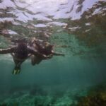 Port Stephens: Port Stephens Island Snorkel Adventure Cruise - Who Will Enjoy This Experience Most?