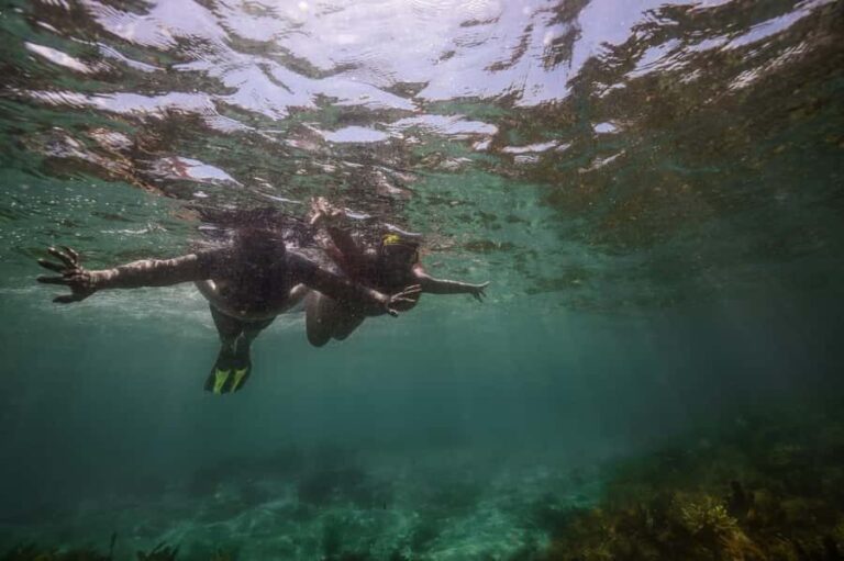 Port Stephens: Port Stephens Island Snorkel Adventure Cruise - Who Will Enjoy This Experience Most?