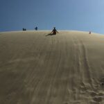 Port Stephens Private Tour From Sydney, with Dolphin/ Whale Cruise Options - Who Is This Tour Best For?