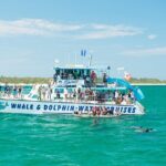 Port Stephens: Splash 'n' Slide Dolphin Cruise - Key Points