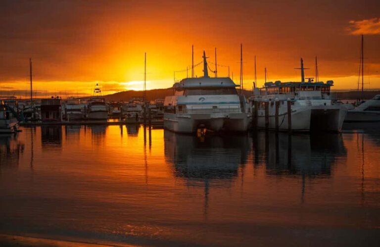 Port Stephens: Sunset on the Bay Cruise - What to Expect on the Water