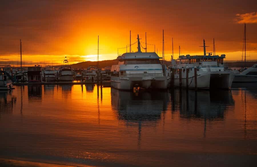 Port Stephens: Sunset on the Bay Cruise - What to Expect on the Water