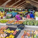Port Vila's Guided Food Experience - What’s Included and How It Adds Value