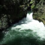 Ports of Tauranga/Rotorua/Tga - 6 Hours Rotorua Highlights Tour - The Sum Up