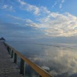 Premier Transfers and Tours Fiji - Who Will Love This Service?