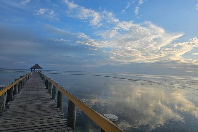 Premier Transfers and Tours Fiji - Who Will Love This Service?